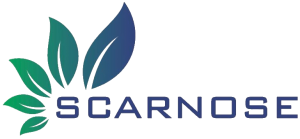 Scarnose International Ltd. logo