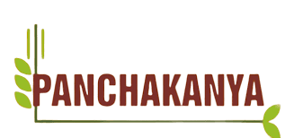 Baba Food Processing (India) Ltd logo