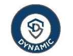 Dynamic Services & Security Ltd. logo