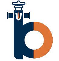 Shri Balaji Valve Components Ltd logo