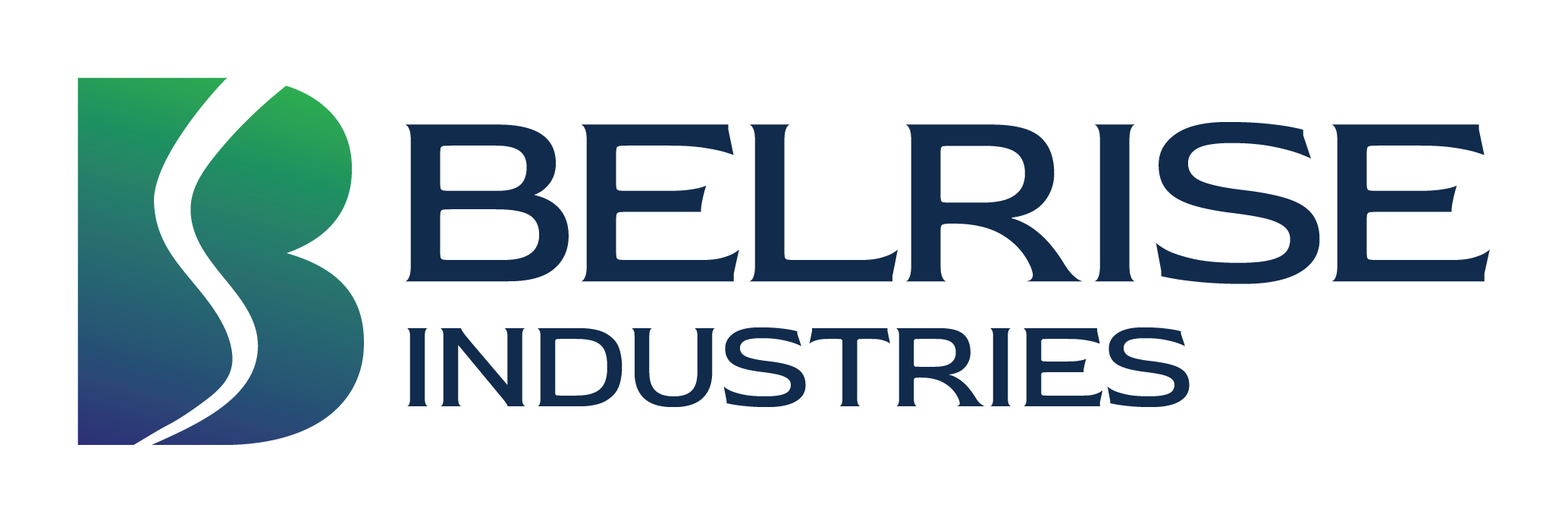 Belrise Industries Ltd. logo