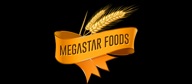 Megastar Foods Ltd. logo