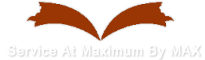 Max Alert Systems Ltd. logo