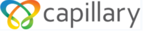Capillary Technologies India Ltd. logo
