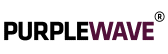 Purple Wave Infocom Ltd logo