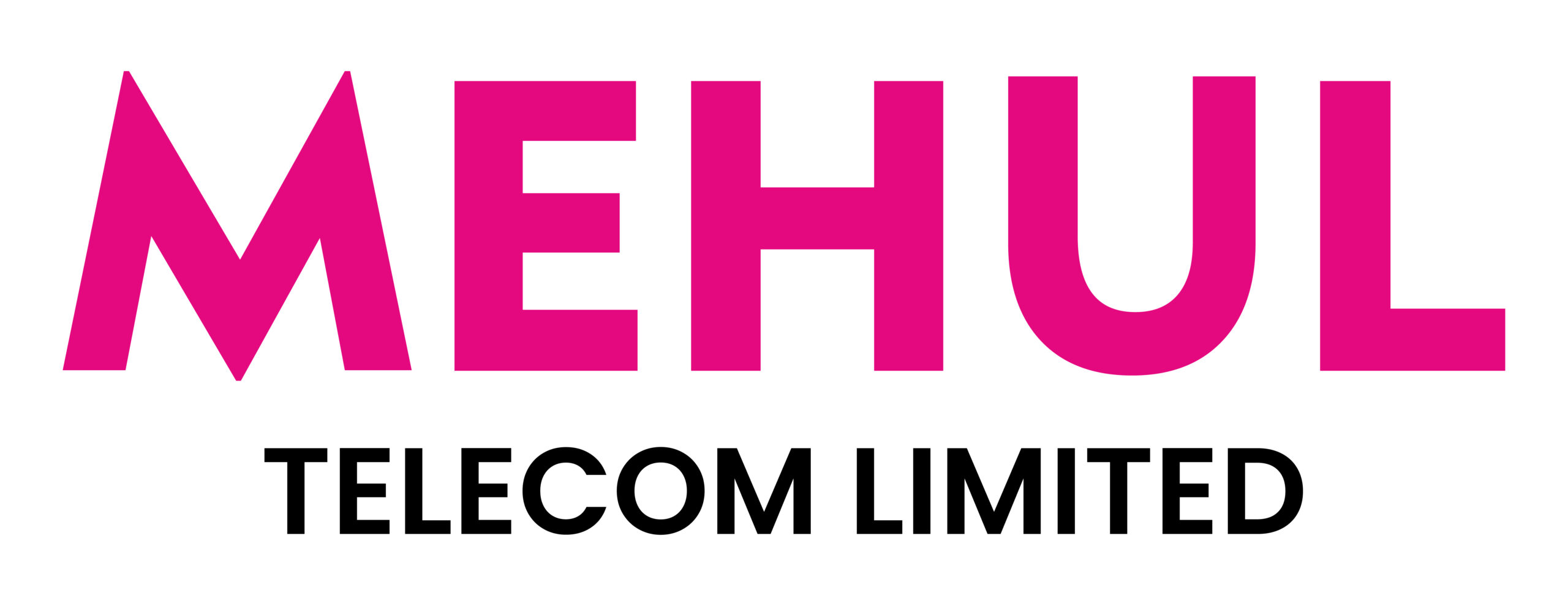 Mehul Telecom Ltd logo