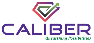 Caliber Mining & Logistics Ltd logo