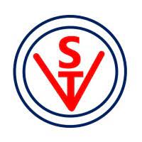 Vibhor Steel Tubes Ltd. logo