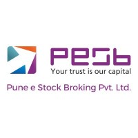 Pune E-Stock Broking Ltd logo