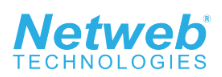 Netweb Technologies India Ltd. logo