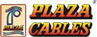 Plaza Wires Ltd. logo