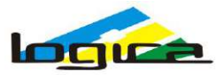 Eastern Logica Infoway Ltd logo